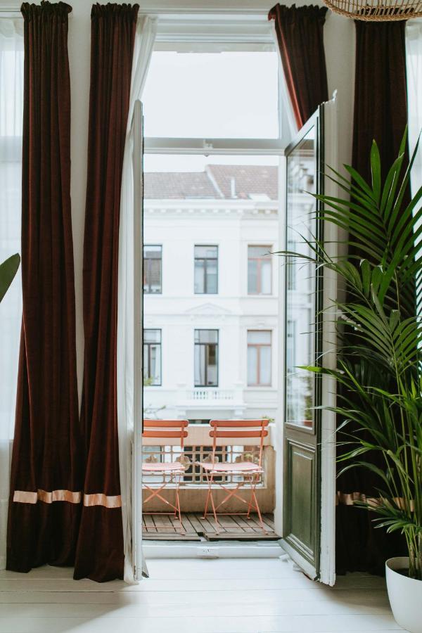 Musa Antwerpia Zewnętrze zdjęcie